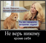 обманули котика.png