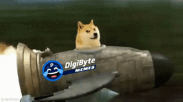 doge.space.gif