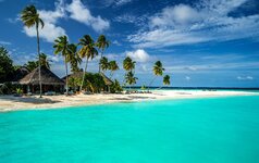 maldivy-tropiki-more-bungalo-3708.jpg