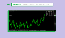 TERMINAL INTELLIGENT SILVER EXPERT ( PHOTO 7 )..png